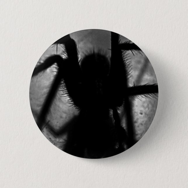 Arachnophobia... 2 Inch Round Button (Front)