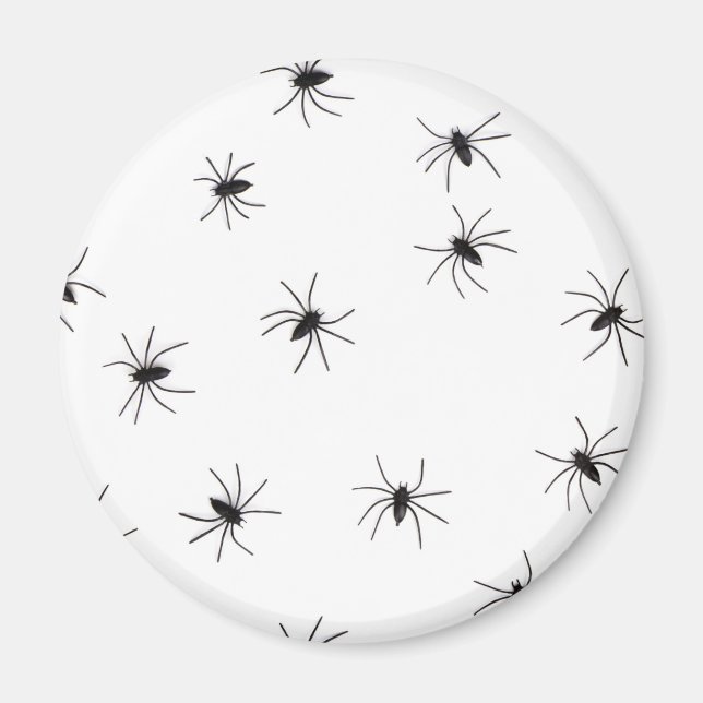 Arachnophobia (Spiders) (Creepy Crawly Insects) Magnet (Front)