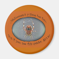 Araignée Araneus Orb Weaver Magnet Halloween