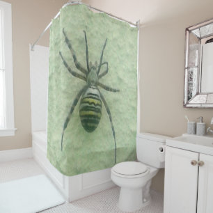 Araignee spider
