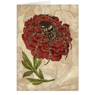 Araignée sur fleurs