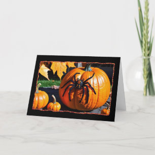 Araignée sur la carte d'Halloween Citrouille