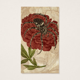 Araignée sur la fleur