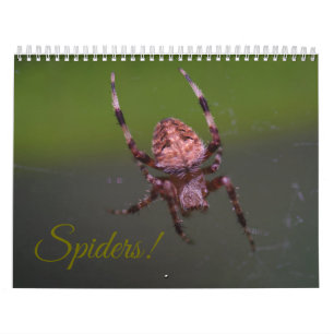 Araignées ! Calendrier
