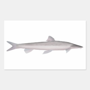 Aral Barbel Sticker