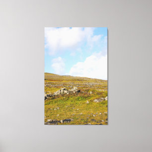 Aran Island - Rocky Landscape 3 Canvas Print