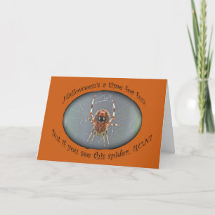 Araneus Orb Weaver Spider Halloween Card