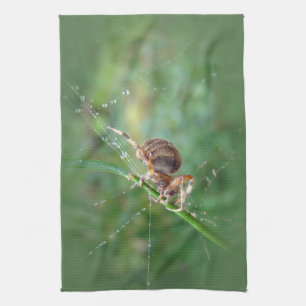 Araneus - Orb Weaver Spider Kitchen Towel