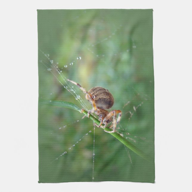 Araneus - Orb Weaver Spider Kitchen Towel (Vertical)