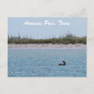 Aransas Pass Texas Coast with Pelican Postcard