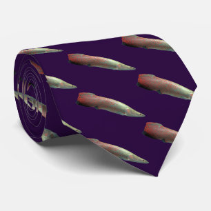 Arapaima gigas tie