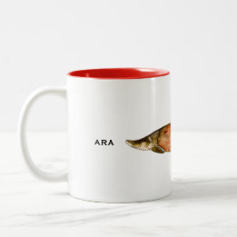 Arapaima Mug | Fish Mug