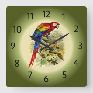 Arara macao - Ara macao - Scarlet Macaw - ~ Square Wall Clock