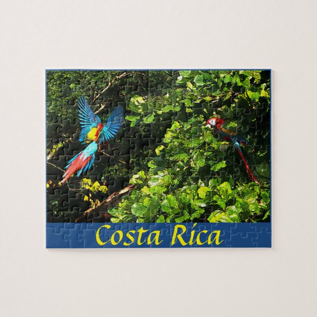 Aras d'écarlate de boîte de puzzle (Horizontal)