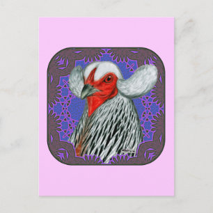 Araucana Head Framed Postcard