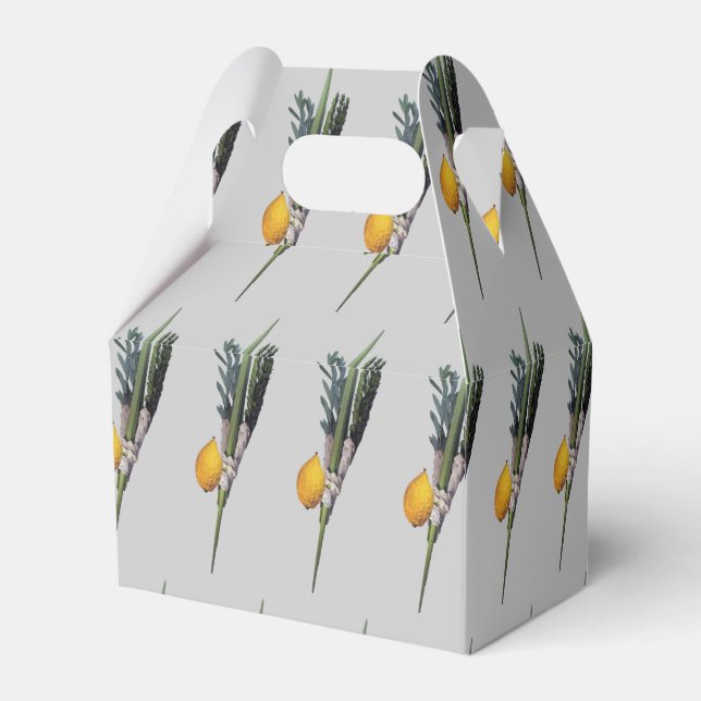 Arba Minim - Lulav, Esrog, Hadas, & Aravah Favor Box (Back Side)