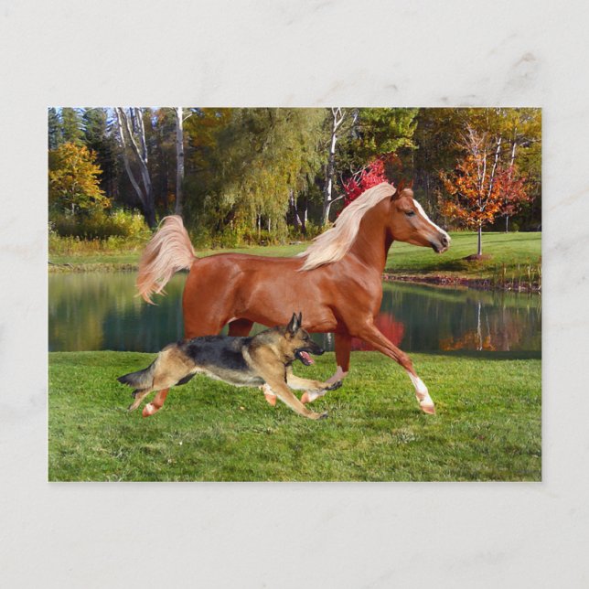 "Arbella & Butch" Postcard (Front)