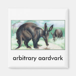 arbitrary aardvark magnet