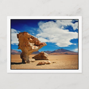 Árbol de Piedra Postcard