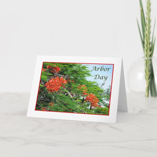 Arbor Day Card Red Flame Tree (Front)