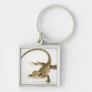Arboreal agamid species native to Eastern 2 Keychain
