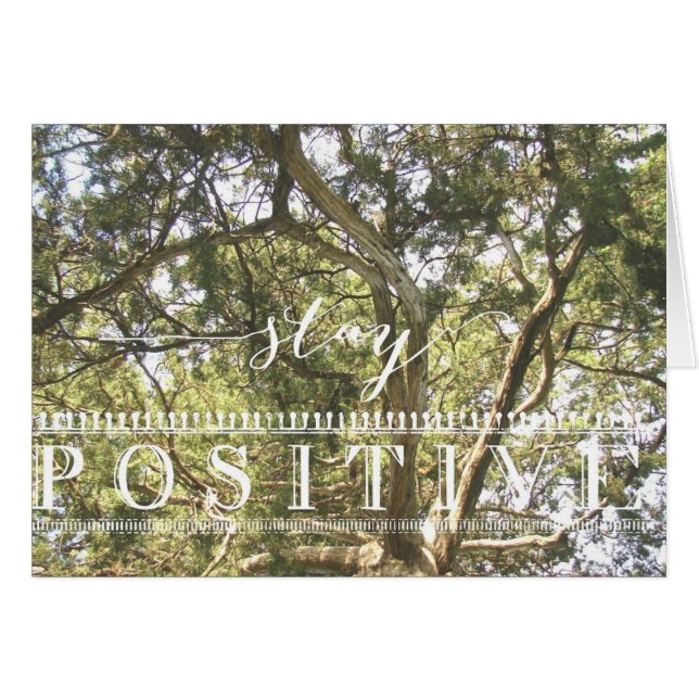 Arborescence positive (Devant horizontal)