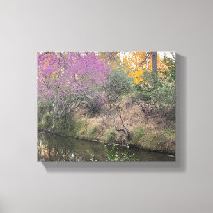 Arboretum Canvas Print