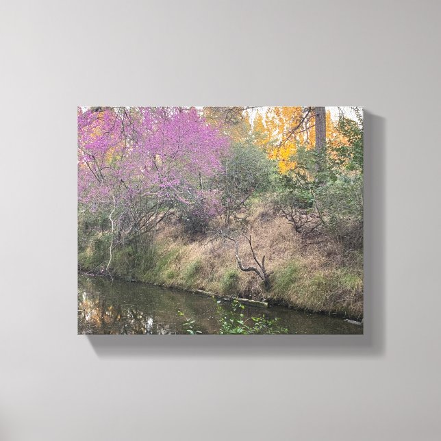 Arboretum Canvas Print (Front)