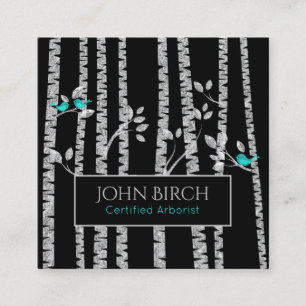 *~* Arborist Tree Doctor Birch Trees  Blue Birds Square Business Card