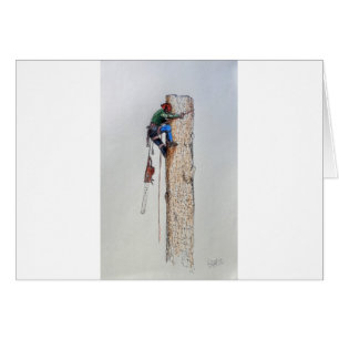 Arboriste Tree Surgeon