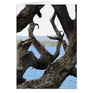 Arbre