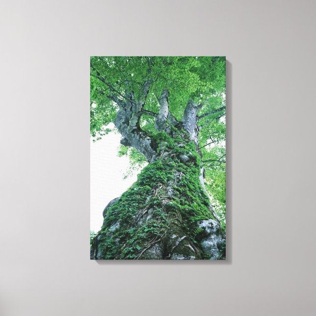 Arbre 89 Impression de toile étirée (Recto)