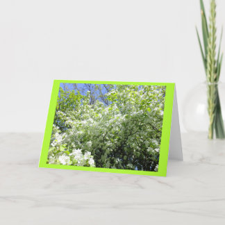 Arbre à aubépine dans la carte de note flanquée