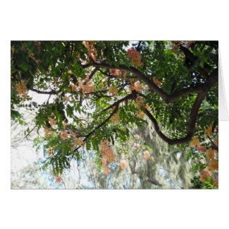 Arbre à douche
