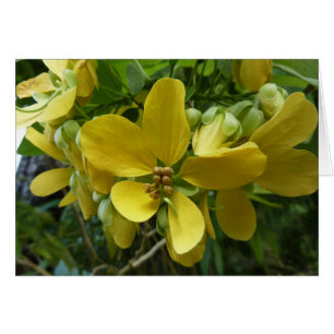 Arbre à douche dorée Tropical Jaune Floral