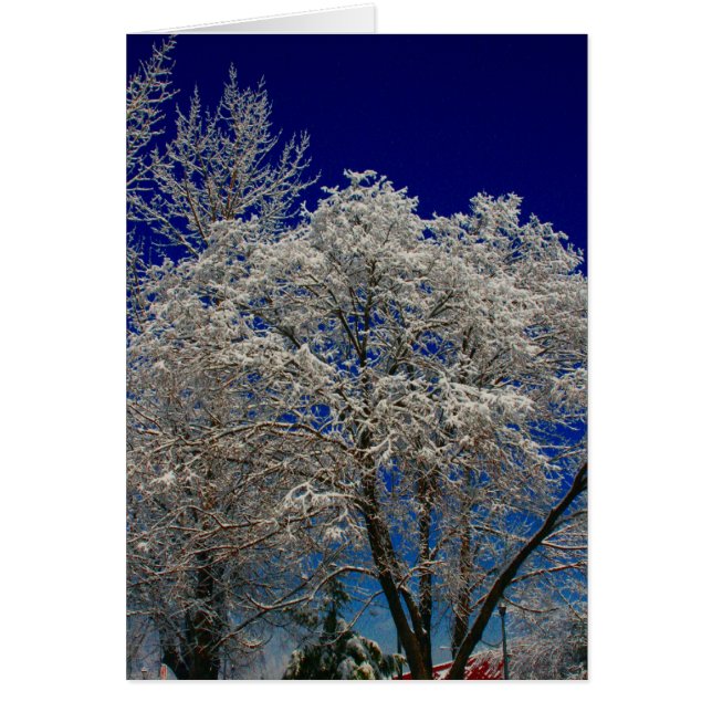 arbre à neige (Devant)
