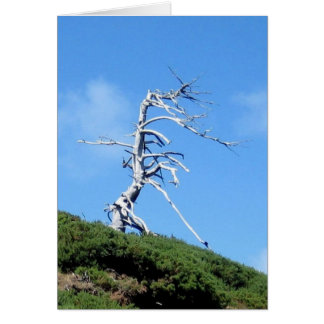 arbre alien