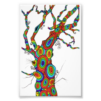 Arbre arc-en-ciel - impression photographique colo