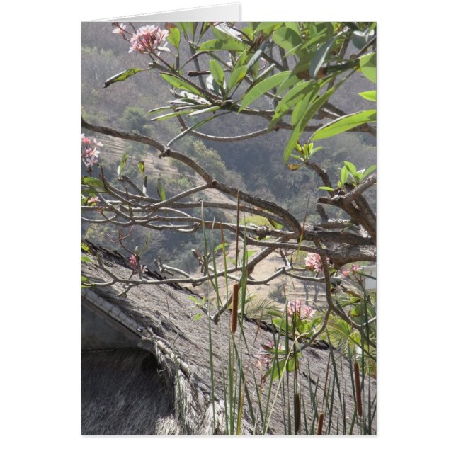 Arbre au-dessus d'un toit couvert de chaume - (Devant)