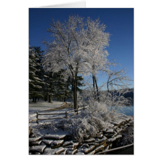Arbre congelé