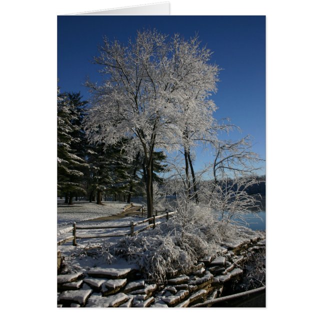 Arbre congelé (Devant)