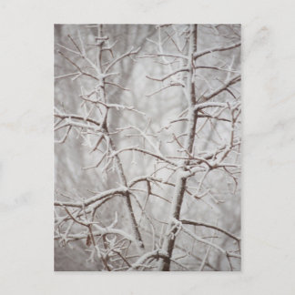 Arbre dans une carte postale tempête de neige