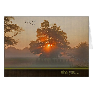 Arbre D'Automne À La Lumière Du Soleil