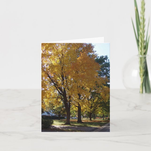 Arbre d'automne - Carte de note "Notre rue" (Devant)
