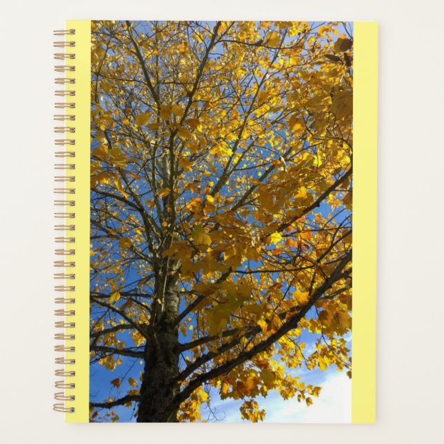 Arbre d'automne jaune (Devant)