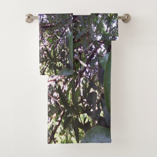 Arbre d'avocat (En situation)