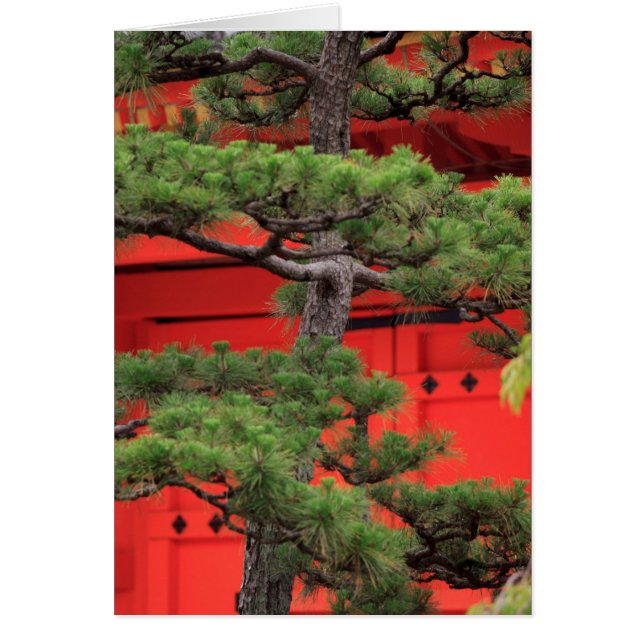 Arbre de Bonsai (Devant)