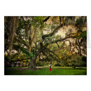 Arbre de chêne vivant à Pascagoula MS