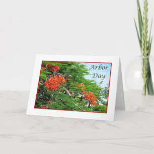 Arbre de flamme rouge de carte de journée de