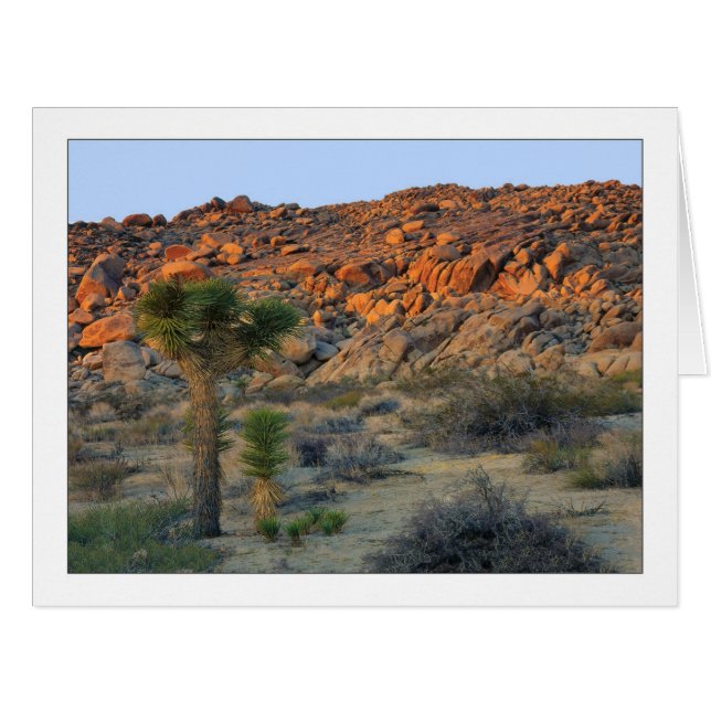 "Arbre de Joshua avec la progéniture " (Devant horizontal)